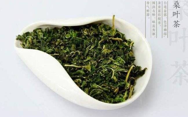 桑叶茶的功效与作用及禁忌