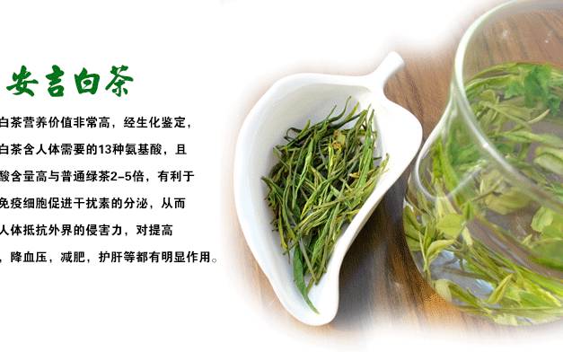 安吉白茶是属于什么茶类