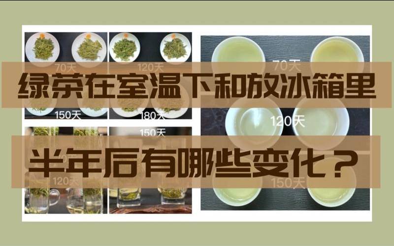 密封的茶叶可以冷冻吗（绿茶能保存多久）