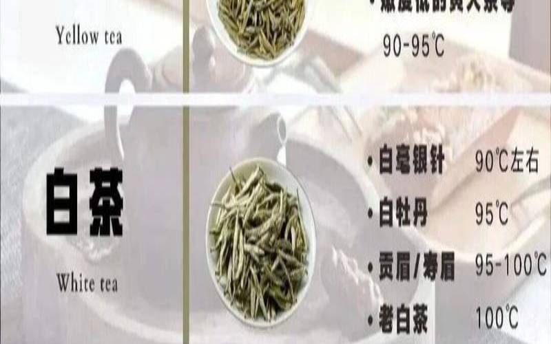 云南绿茶品牌排行（茶叶价目表图片）