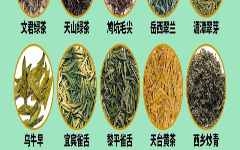 怎么选茶叶的种类和品种（茶叶分类及品种大全）