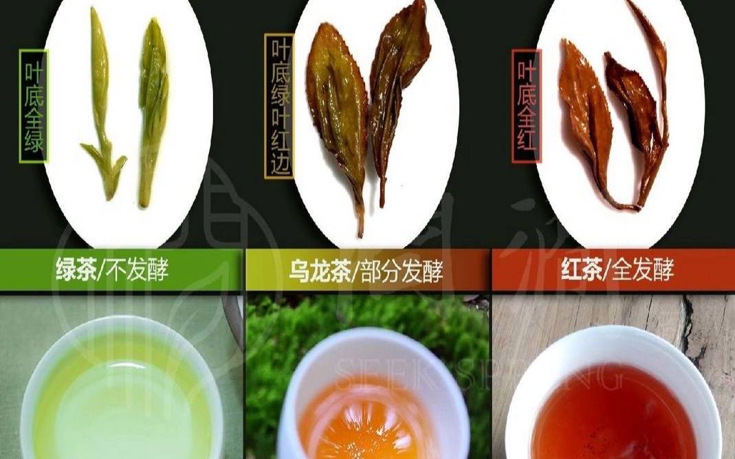 全球最贵的茶叶排名前十（绿茶里什么茶最好最贵）