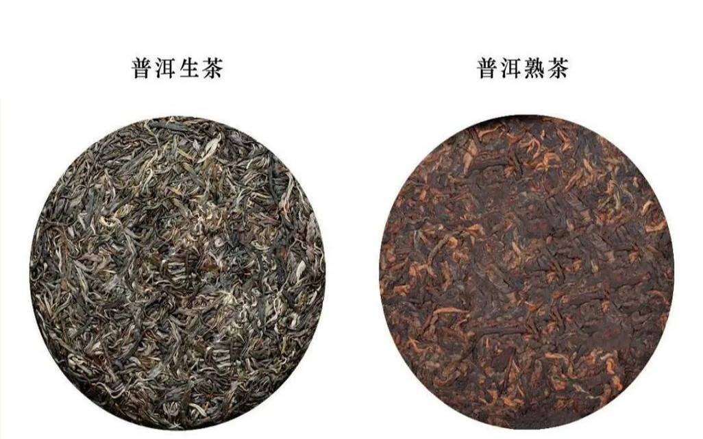 普洱茶叶的功效能减肥吗（普洱茶生茶和熟茶哪个好）