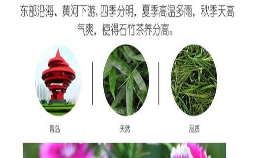 茶叶的营养保健功效（茶对人体的十大保健功效）