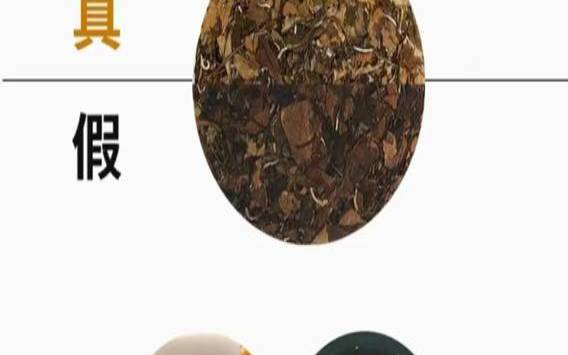 怎么辨别茶叶的好坏（龙井茶怎么区分好坏）