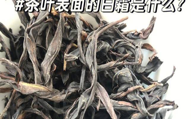 广东十大名牌茶叶（广东最好的茶叶是什么茶）