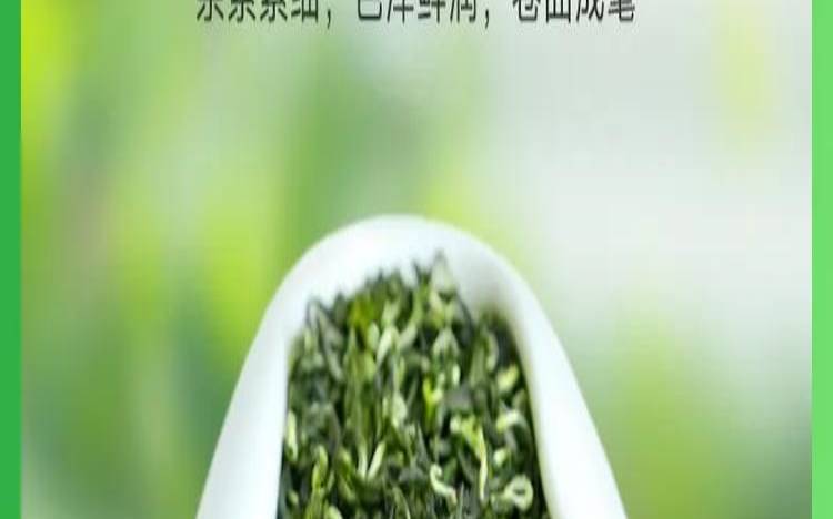 新茶能放冰箱冷冻吗（茶叶冻了还能喝吗）