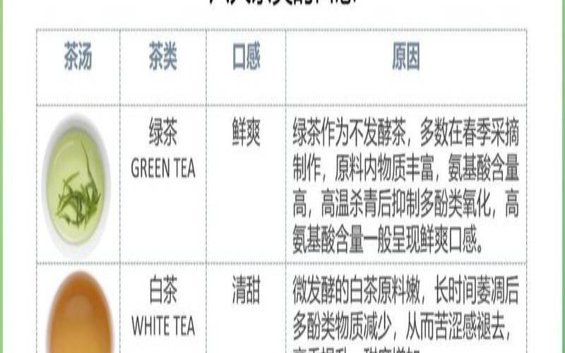 茶叶分为哪几种类型（茶叶品种分类）