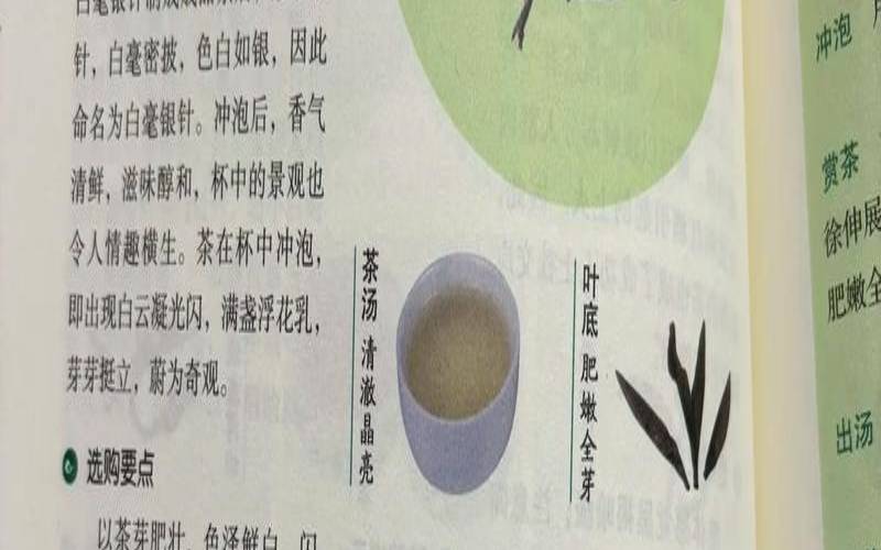 小白毫茶叶的功效和作用,白毫的功效作用与主治