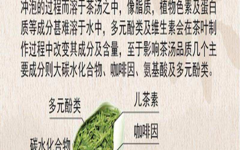 茶叶中氨基酸的主要功效,茶叶的主要功效