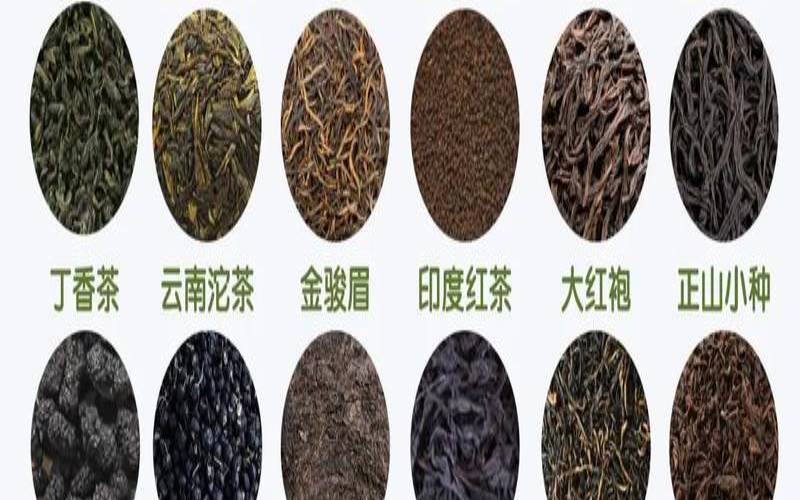 大众喝茶图片,茶叶有多少品种