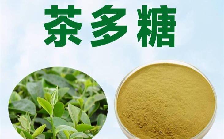 茶叶中糖类物质的作用是,茶叶中氨基酸的好处