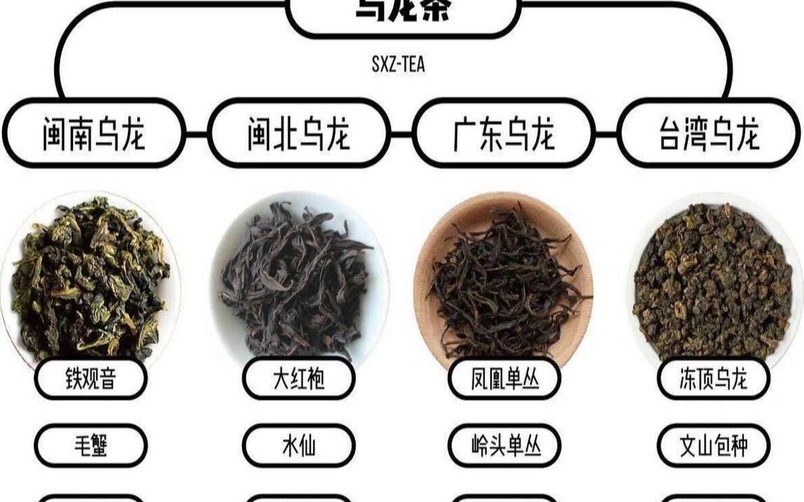 云南茶品种图片及价格,常见的乌龙茶有哪些品种