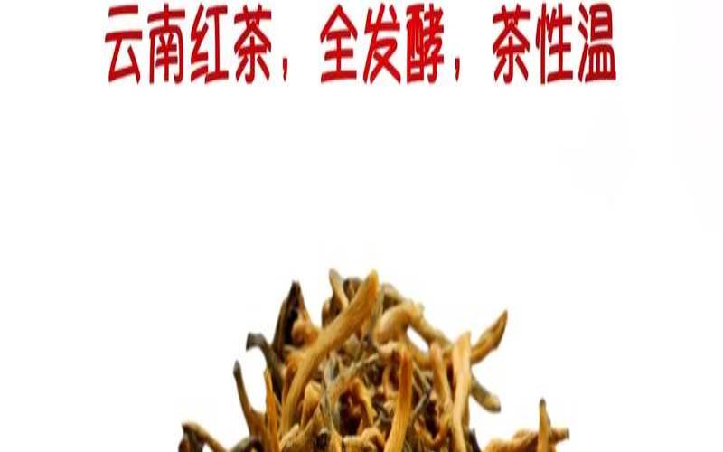 云南的什么茶叶好,滇红茶的特点