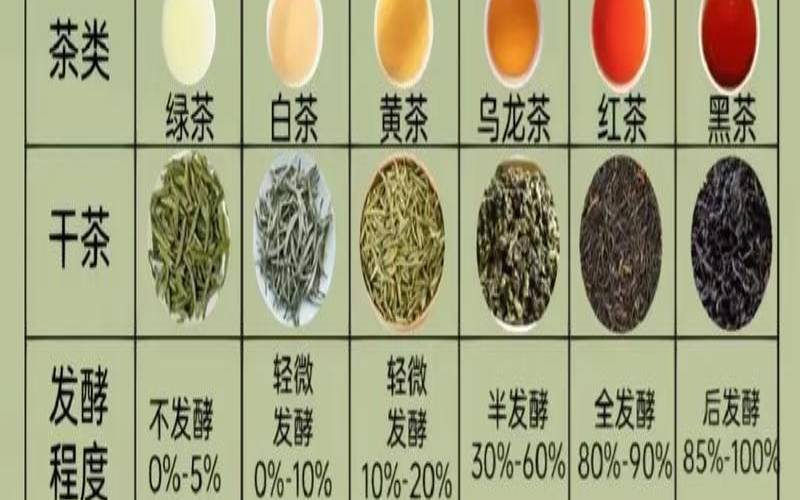 茶叶怎么保存不生虫,什么茶最防蛀牙