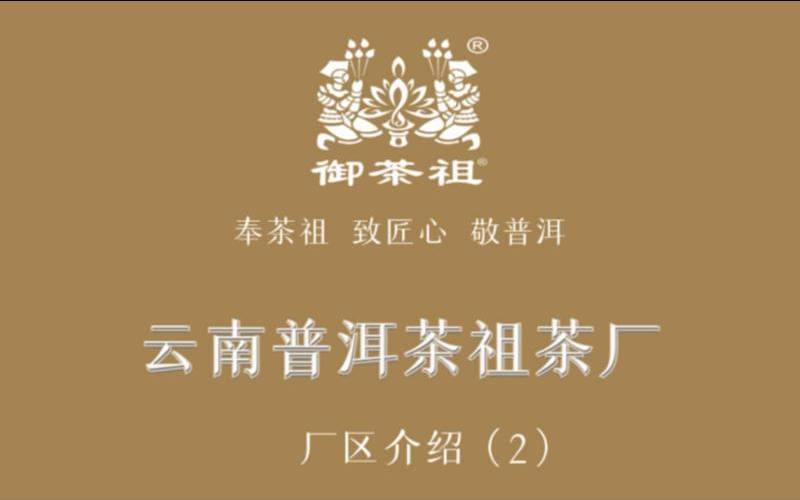 云南茶祖茶叶品牌怎么样,云南普大师普洱茶品牌