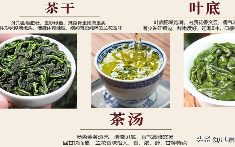 铁观音加盟代理,茶叶店加盟十大品牌排行榜