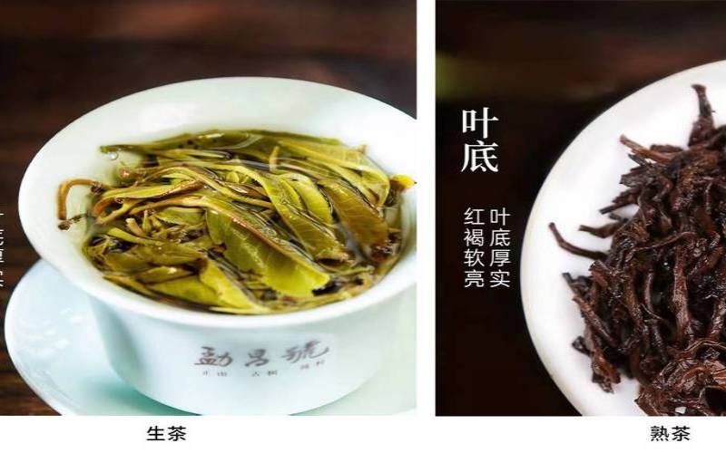 减肥喝生普洱还是熟普洱茶,普洱茶刮油吗