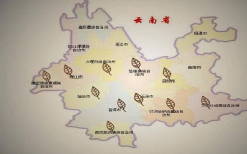 云南茶叶产地分布,云南出茶叶的地方