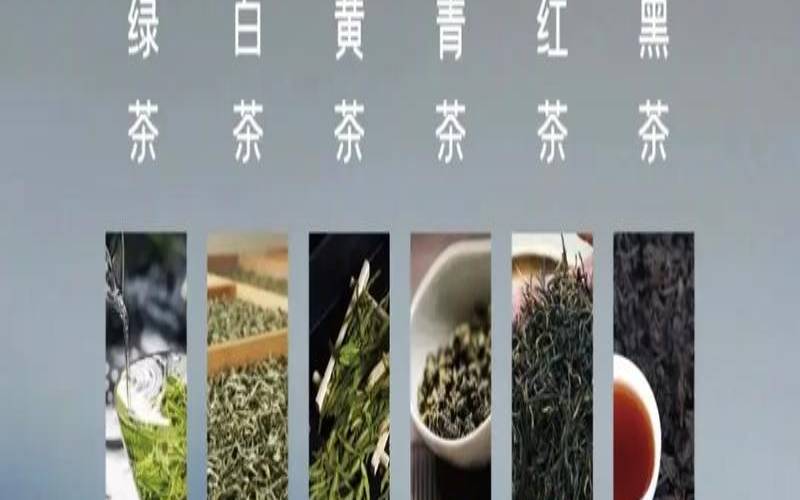 云南茶叶种类名称大全,茶叶有多少品种