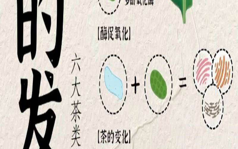 茶叶水怎样发酵,茶叶如何发酵