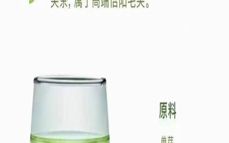 毛尖茶有什么功效和作用,喝毛尖茶有什么好处