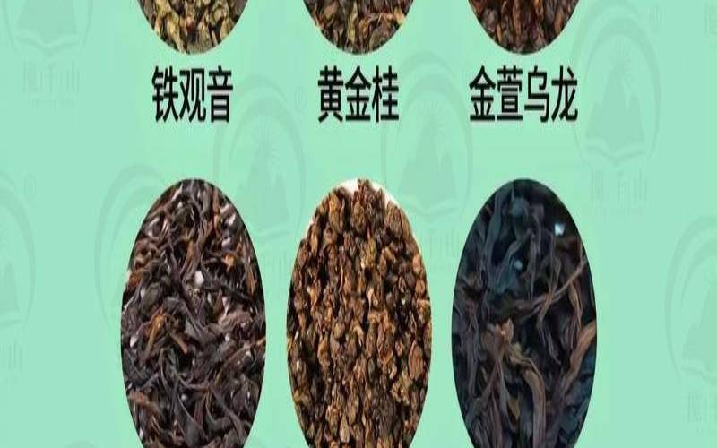 高端茶叶新品种有哪些种类,高档茶叶品种