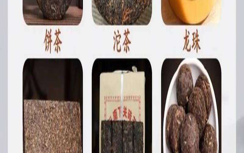 我国有多少种茶叶品种,普洱茶的产地在哪里